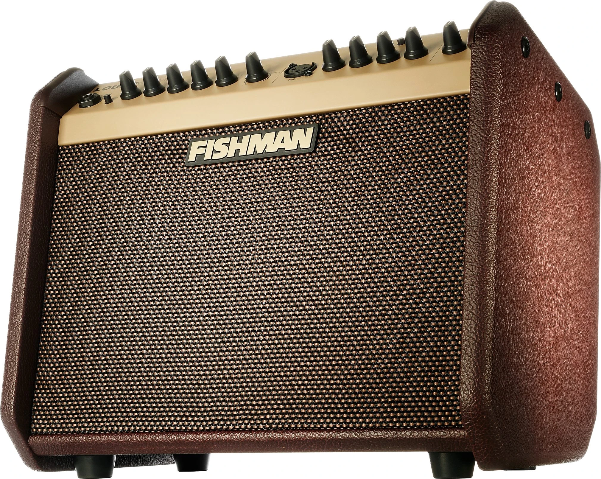 Fishman Mini Q Fishman Loudbox Mini Acoustic Guitar Combo Amplifier With Bluetooth (60 ...