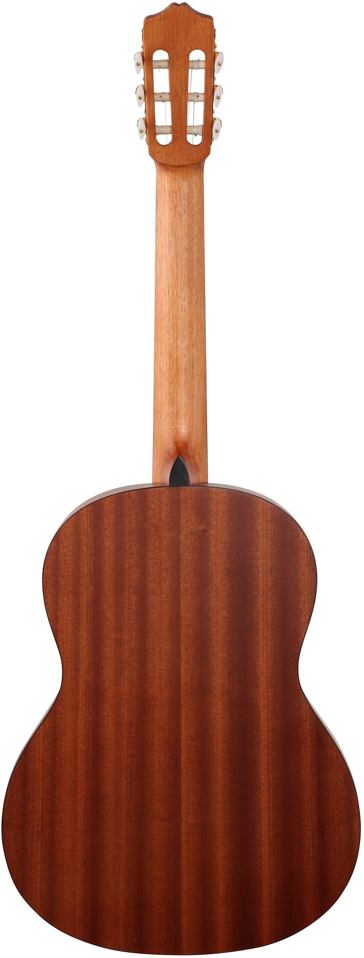 C1m Cordoba Protege C1M Classical Acoustic Guitar - ZZounds