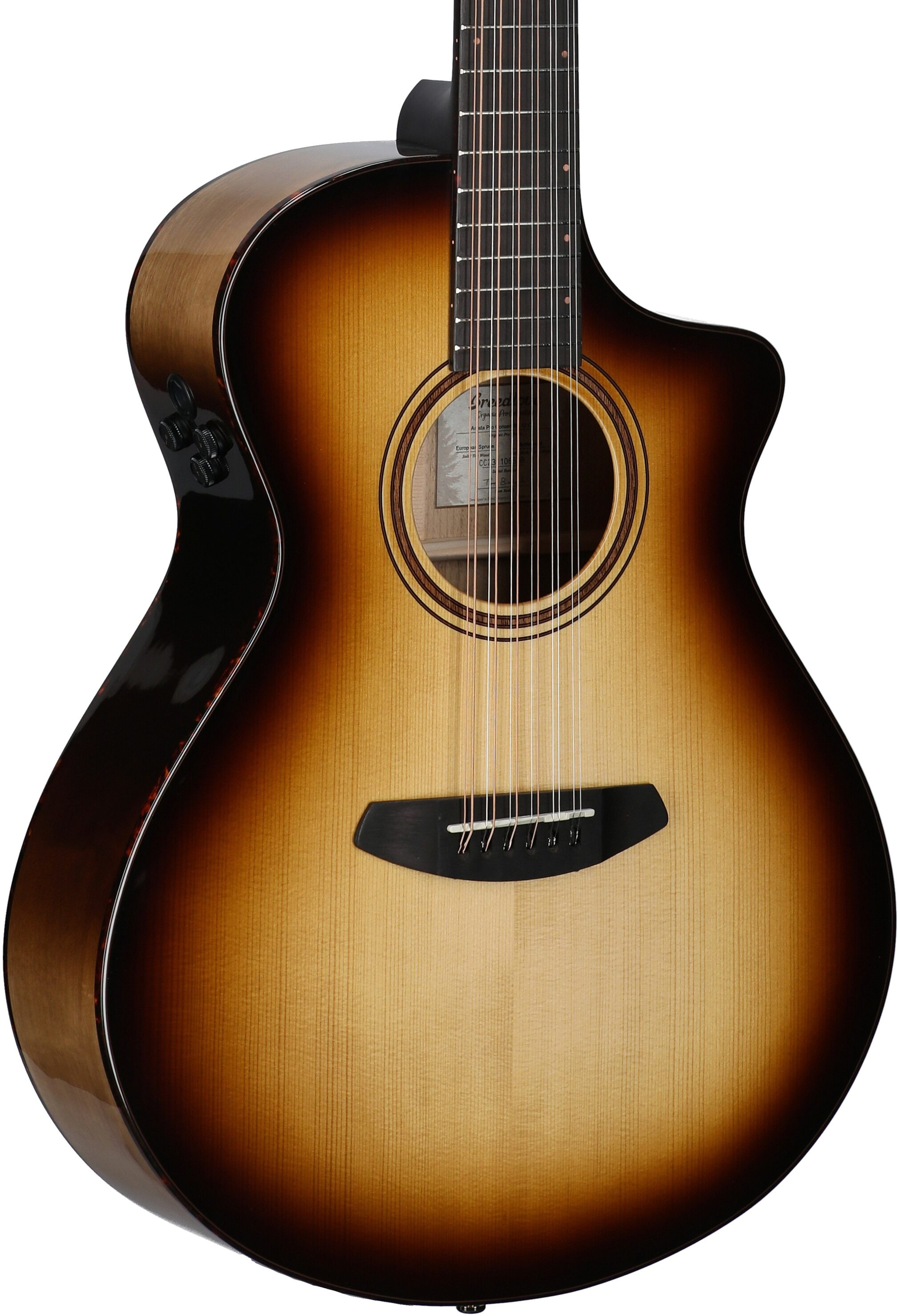 Breedlove Artista Pro Concert CE Acoustic-Electric Guitar, 12-String (with Case)